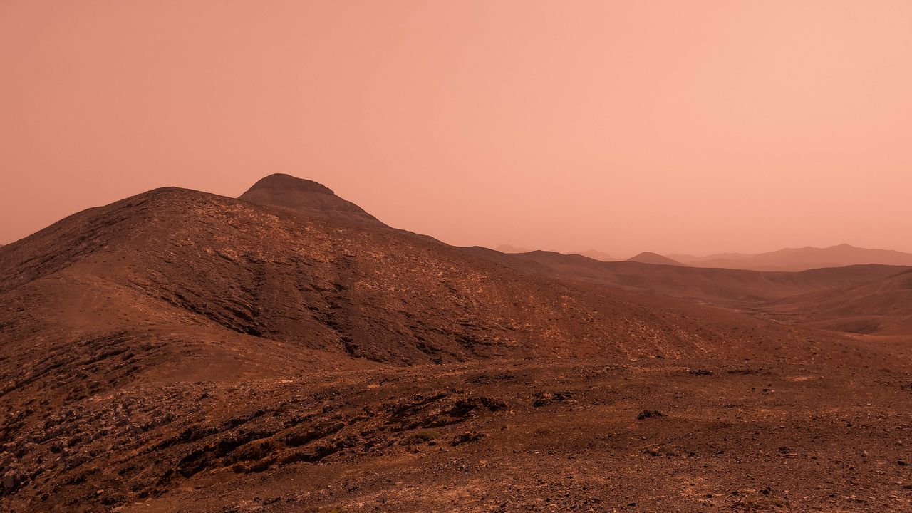 Marte, il rover Curiosity immortala un piccolo “corallo”, regalo delle tempeste sabbiose che rendono il pianeta invivibile