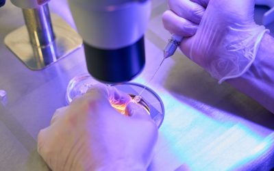 Come Arsenale Bioyards punta a trasformare il biomanufacturing in Italia