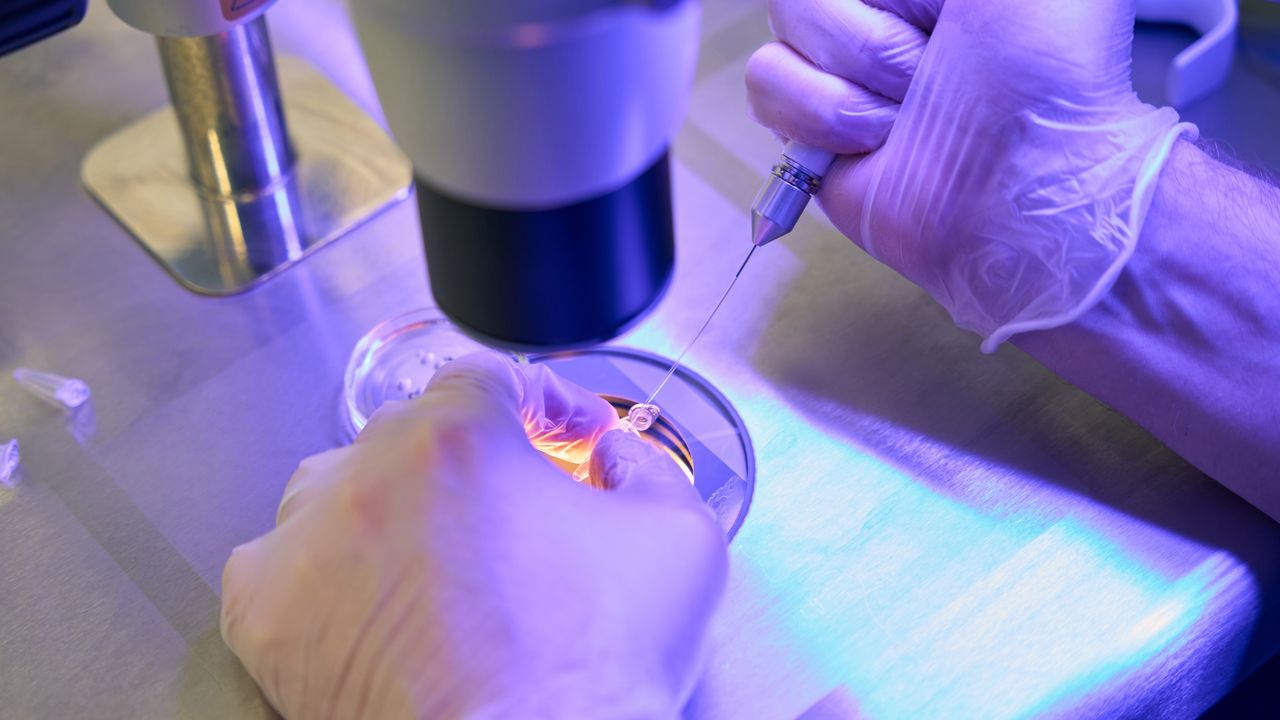 Come Arsenale Bioyards punta a trasformare il biomanufacturing in Italia