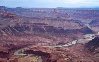 Un antico verme “pene” con doppia fila di denti e forma fallica vissuto 500 milioni di anni fa scoperto nel Grand Canyon