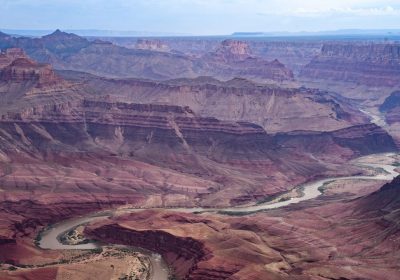 Un antico verme “pene” con doppia fila di denti e forma fallica vissuto 500 milioni di anni fa scoperto nel Grand Canyon