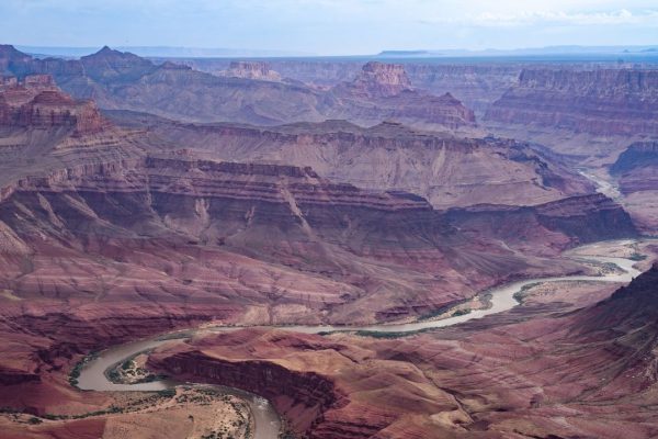 Un antico verme “pene” con doppia fila di denti e forma fallica vissuto 500 milioni di anni fa scoperto nel Grand Canyon