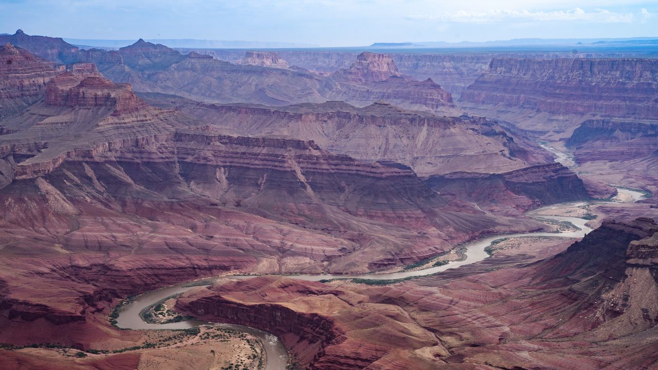 Un antico verme “pene” con doppia fila di denti e forma fallica vissuto 500 milioni di anni fa scoperto nel Grand Canyon