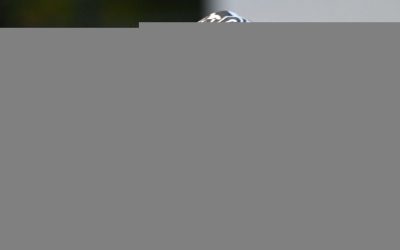 Kanye West, la nuova criptovaluta del rapper sembra la solita truffa