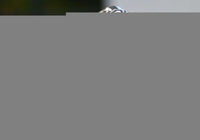 Kanye West, la nuova criptovaluta del rapper sembra la solita truffa