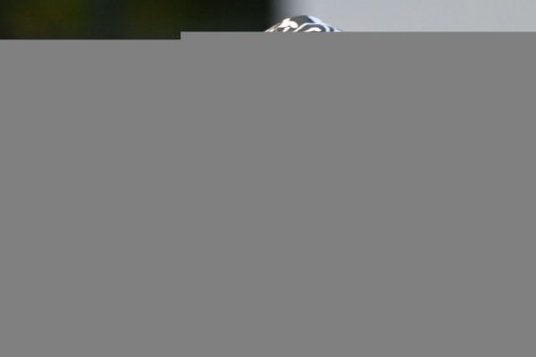 Kanye West, la nuova criptovaluta del rapper sembra la solita truffa
