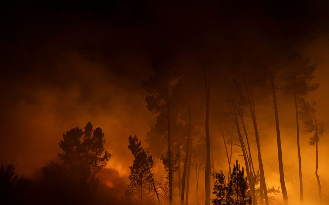 Grandi incendi in Spagna e Portogallo stanno devastando le foreste, le immagini