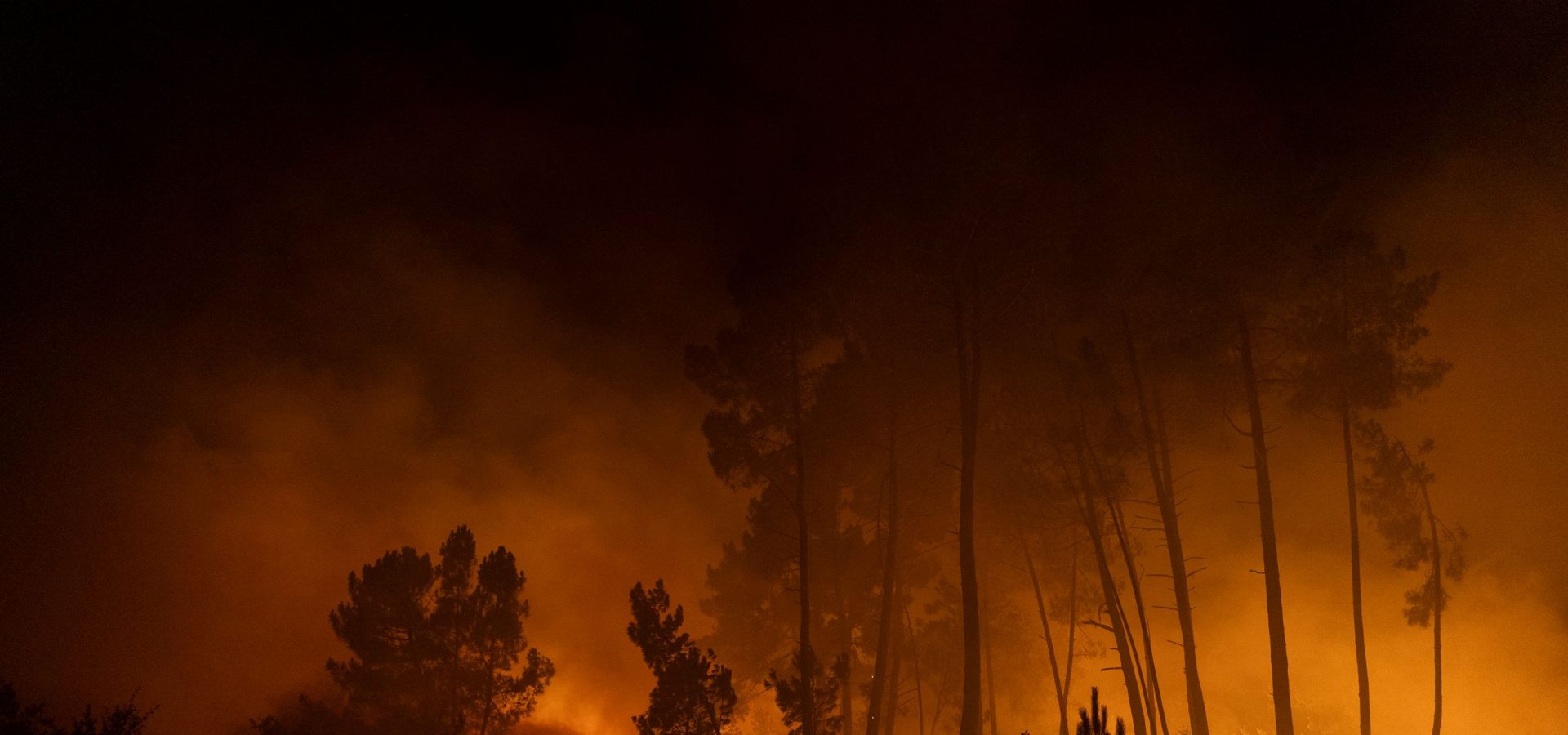 Grandi incendi in Spagna e Portogallo stanno devastando le foreste, le immagini