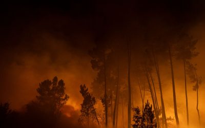 Grandi incendi in Spagna e Portogallo stanno devastando le foreste, le immagini