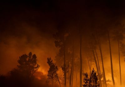 Grandi incendi in Spagna e Portogallo stanno devastando le foreste, le immagini