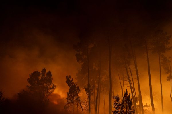 Grandi incendi in Spagna e Portogallo stanno devastando le foreste, le immagini
