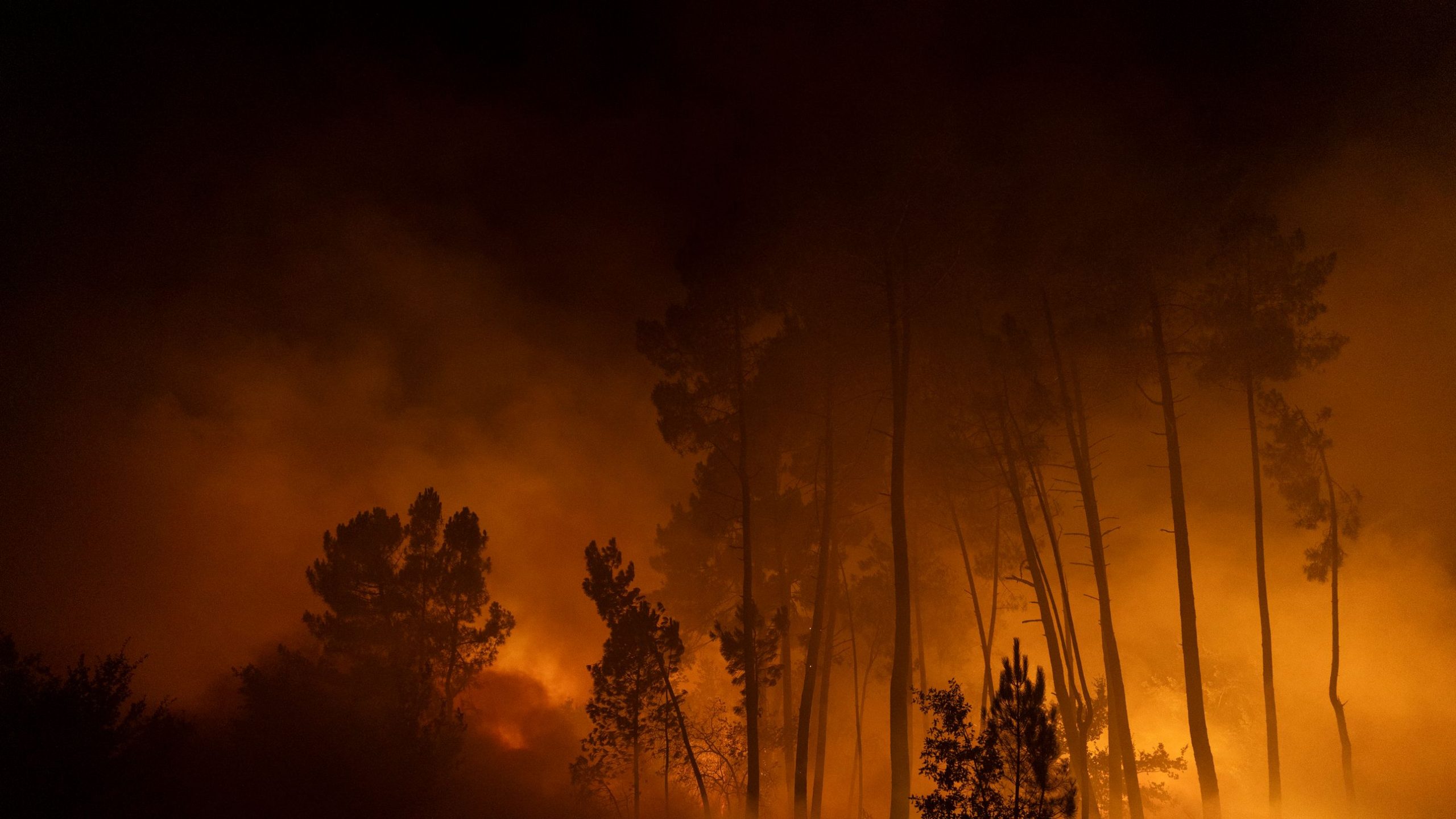 Grandi incendi in Spagna e Portogallo stanno devastando le foreste, le immagini