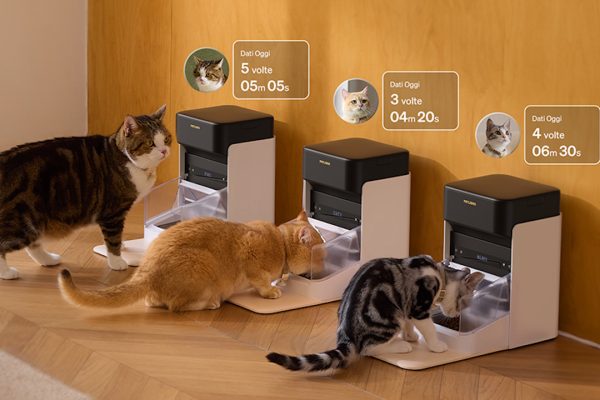 Distributori automatici di cibo e acqua per gatti e cani in offerta su Amazon: da 53€ a 149€, ecco i migliori modelli smart