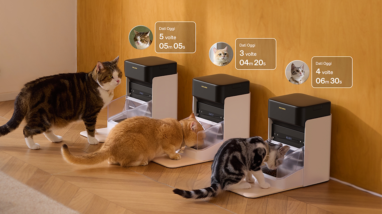 Distributori automatici di cibo e acqua per gatti e cani in offerta su Amazon: da 53€ a 149€, ecco i migliori modelli smart