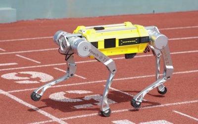 Robot quadrupede cinese batte il Guinness dei primati: 100 metri in 16,33 secondi