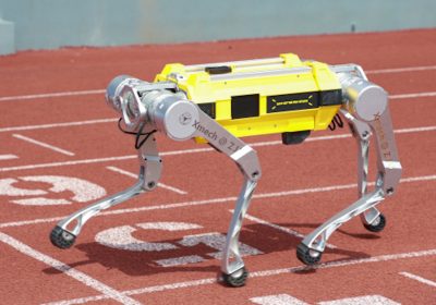 Robot quadrupede cinese batte il Guinness dei primati: 100 metri in 16,33 secondi