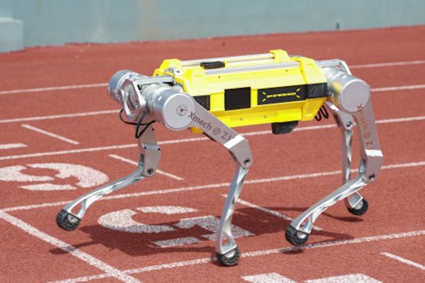 Robot quadrupede cinese batte il Guinness dei primati: 100 metri in 16,33 secondi