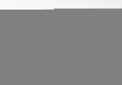 La Casa Bianca sbarca su TikTok, in un’ora 4.500 follower – Notizie