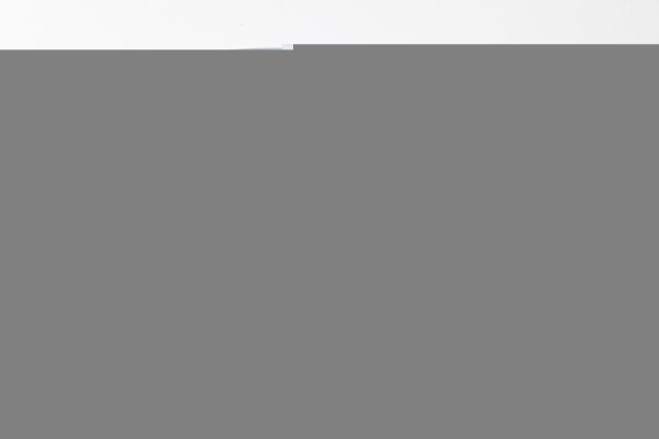 La Casa Bianca sbarca su TikTok, in un’ora 4.500 follower – Notizie