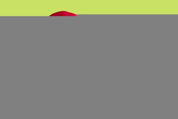 I migliori marsupi da running per avere tutto a portata di mano quando ti alleni