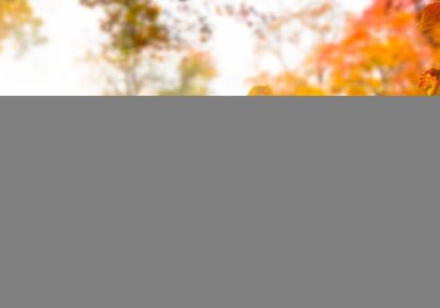 L’equinozio d’autunno 2025 si sta avvicinando, cosa succede e quando esattamente saluteremo l’estate