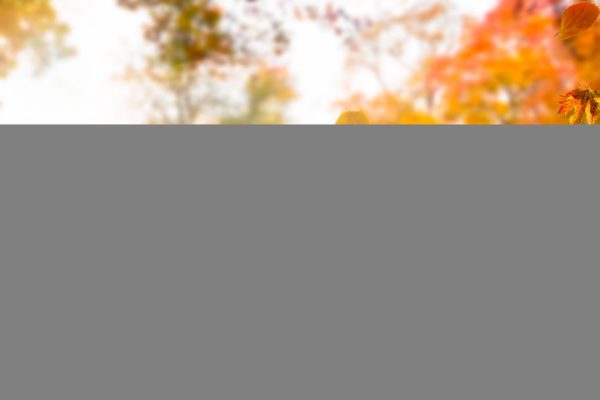 L’equinozio d’autunno 2025 si sta avvicinando, cosa succede e quando esattamente saluteremo l’estate