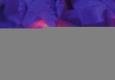 Piano Italia a 1 Giga, sulla banda ultralarga il governo corre ai ripari e chiede aiuto ai satelliti