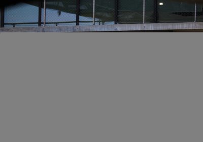 Trump, ‘un gruppo di aziende vuole TikTok’. C’è Oracle – Notizie