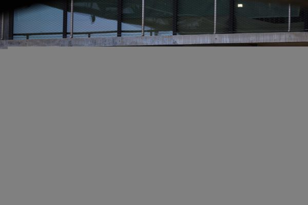 Trump, ‘un gruppo di aziende vuole TikTok’. C’è Oracle – Notizie