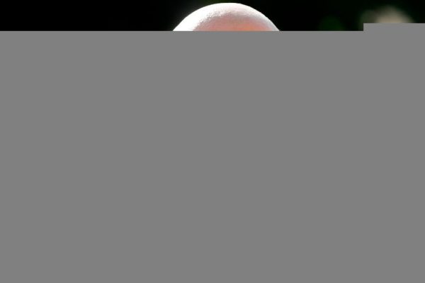 Charlie Kirk, la mappa di tutte le sparatorie avvenute negli Stati Uniti mentre veniva ucciso