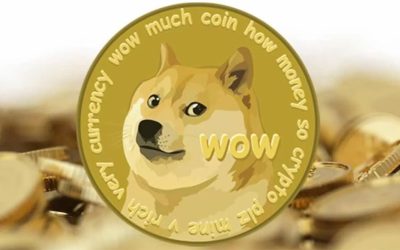 Dogecoin diventa azionista di maggioranza della Triestina: la crypto spinta da Elon Musk sbarca in Serie C