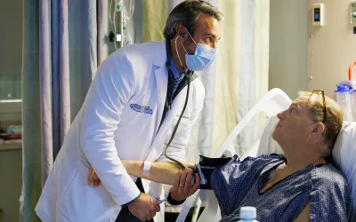 Rene di maiale, il trapianto record che apre nuove prospettive per la medicina