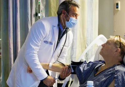 Rene di maiale, il trapianto record che apre nuove prospettive per la medicina