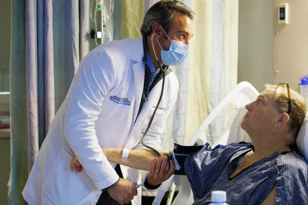 Rene di maiale, il trapianto record che apre nuove prospettive per la medicina