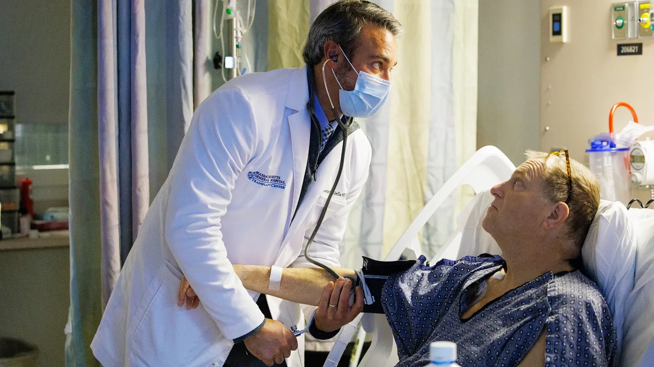 Rene di maiale, il trapianto record che apre nuove prospettive per la medicina