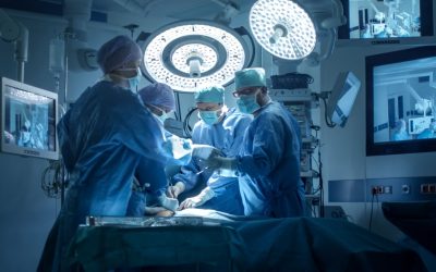 Un trapianto di fegato da maiale a un paziente vivo è stato eseguito per la prima volta al mondo