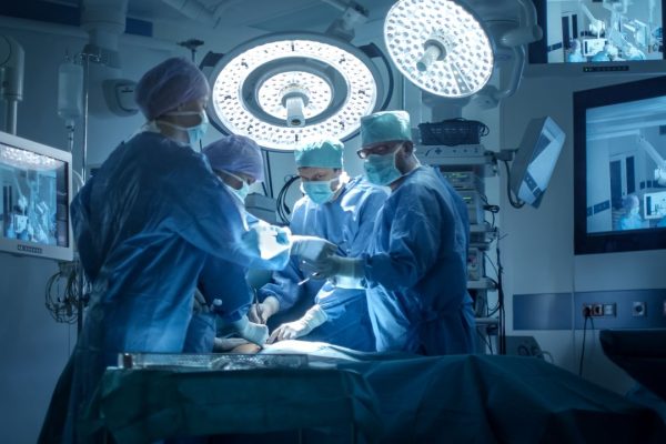 Un trapianto di fegato da maiale a un paziente vivo è stato eseguito per la prima volta al mondo