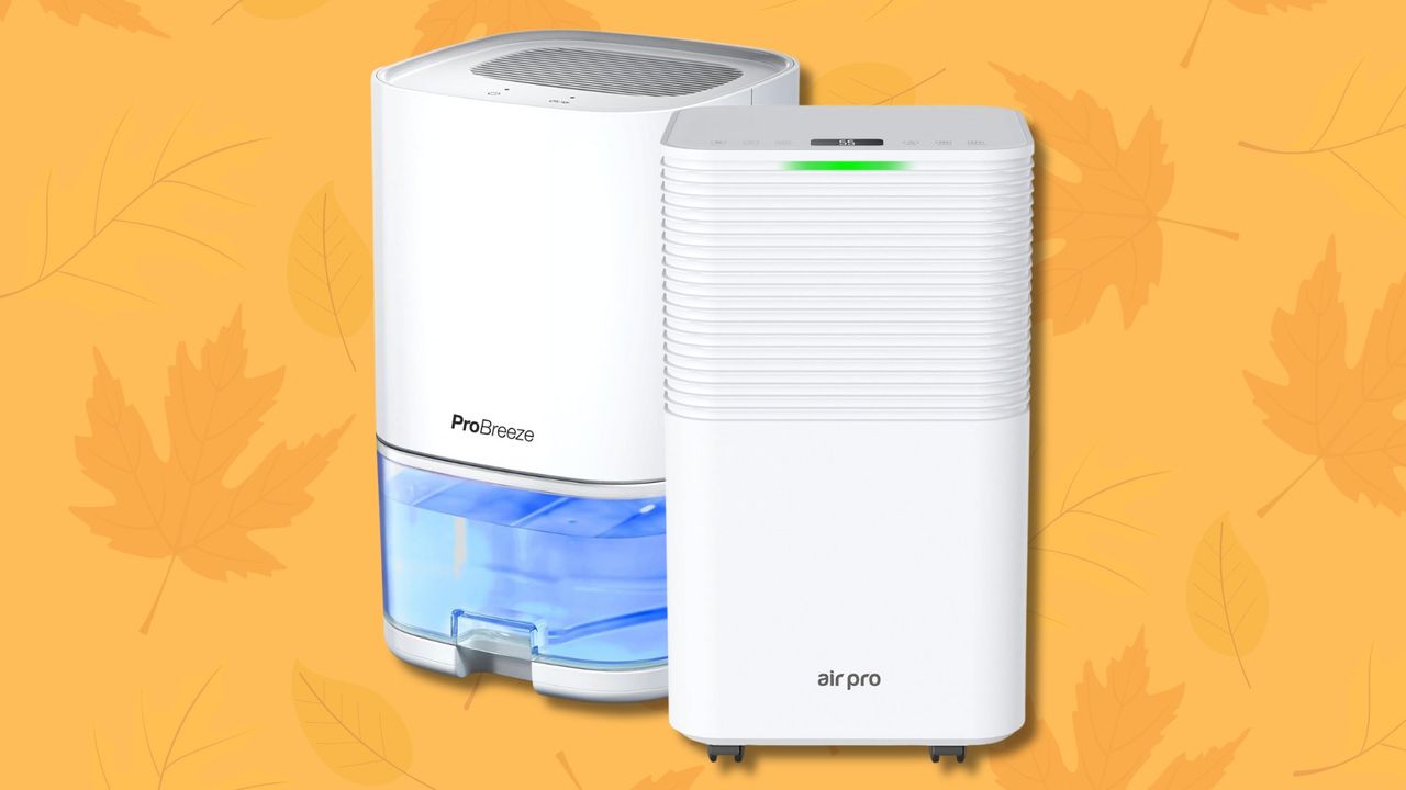 Festa delle offerte Prime, i migliori deumidificatori in sconto ora