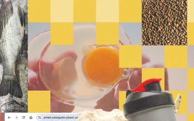 Quante proteine assumere al giorno? La guida completa al macronutriente