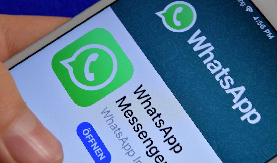 WhatsApp, arriva la possibilità di condividere le foto animate – Software e App