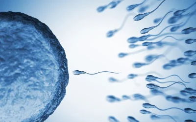 Sperma, negli uomini anziani aumenta il rischio di trasmettere alterazioni genetiche ai figli