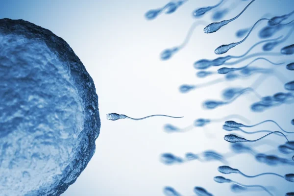 Sperma, negli uomini anziani aumenta il rischio di trasmettere alterazioni genetiche ai figli