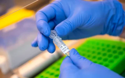 Garlasco, il Dna sotto e unghie di Chiara Poggi mostrerebbe una compatibilità con la linea maschile di Sempio