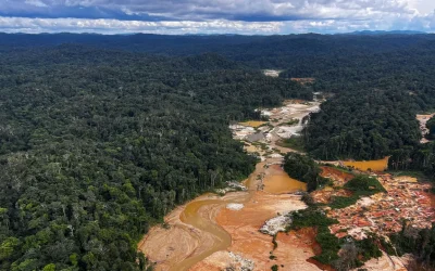 Dalla Cop30 può nascere la vera alternativa all’economia della deforestazione