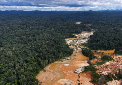 Dalla Cop30 può nascere la vera alternativa all’economia della deforestazione