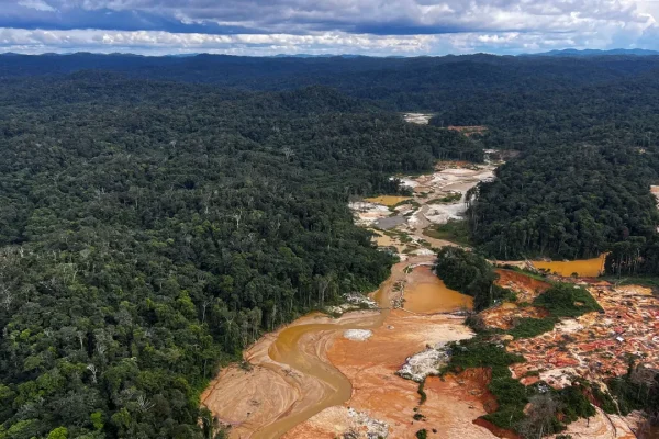 Dalla Cop30 può nascere la vera alternativa all’economia della deforestazione