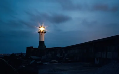 C’è un profilo su TikTok che è molto particolare e i commenti mi fanno pensare che l’umanità esiste ancora, nonostante tutto