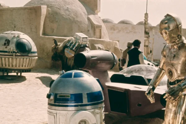 Fan di Star Wars attenzione, ci sono alcuni uccelli che riescono ad imitare benissimo i suoni del droide astromeccanico R2-D2