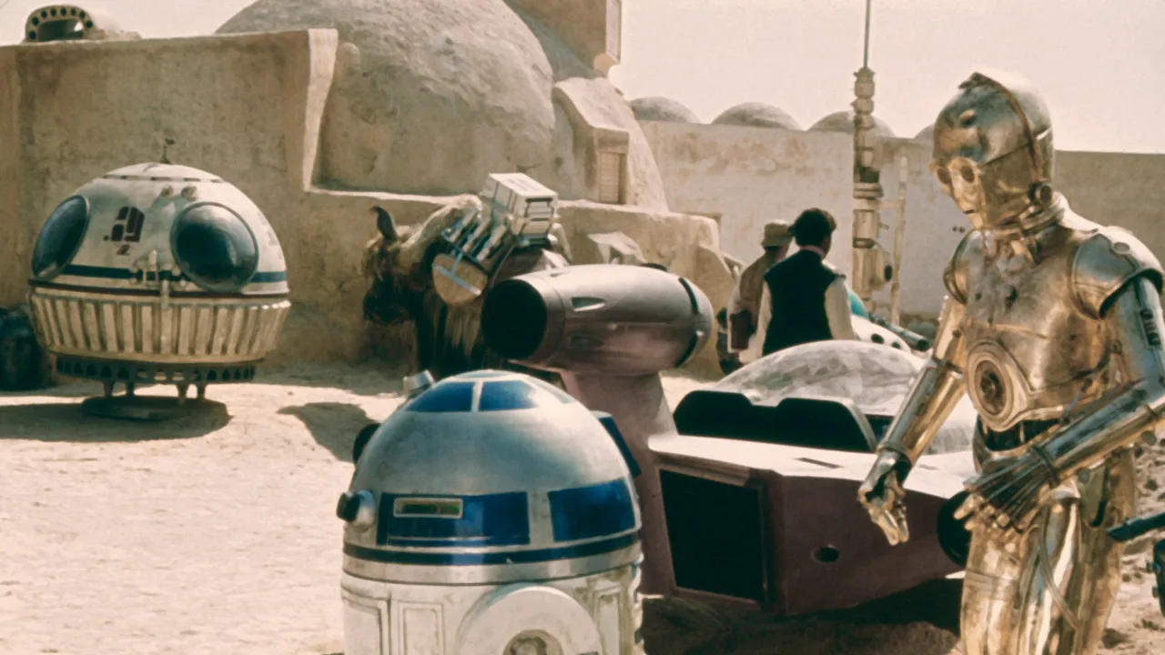 Fan di Star Wars attenzione, ci sono alcuni uccelli che riescono ad imitare benissimo i suoni del droide astromeccanico R2-D2
