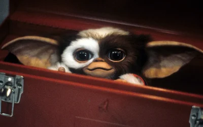 Nascondete i biscotti dopo mezzanotte, i Gremlins torneranno in un terzo film